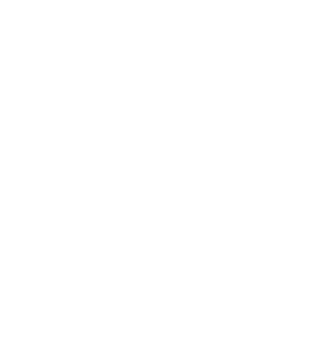 Çiçek Oto Lastik 
