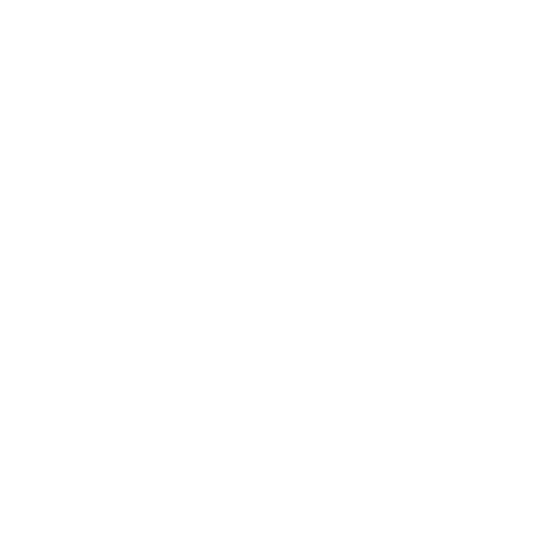 Çiçek Oto Lastik 